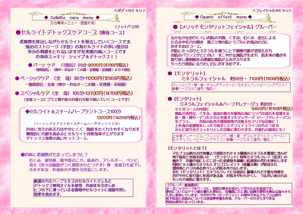 �Z�����C�g���g�E�I�[�K�j�b�N�t�F�C�V�����E�u���C�_���G�X�e